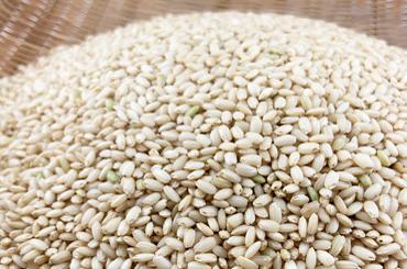 有機もち米 玄米